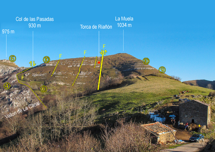 Muela1